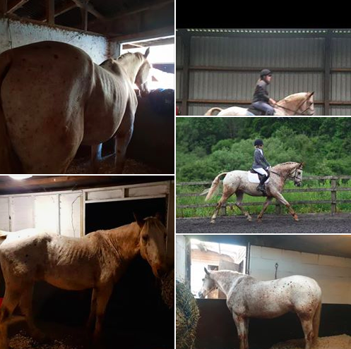 Sophie Jasmine Glossip tells how Max\'s condition has improved so much with Hack Up Bespoke!!